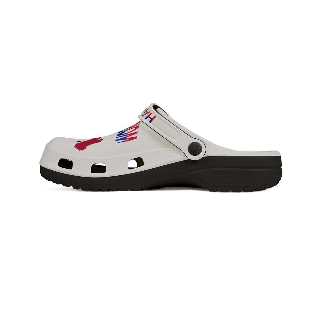 Vintage Signature Haiti Flag EVA Foam Clogs — World Cup 26 Inspired