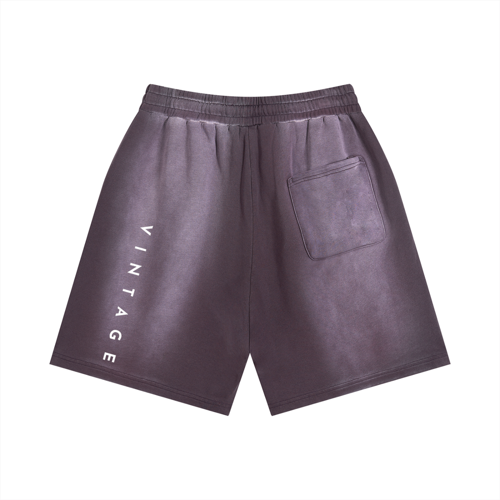 Sun Fade Distressed Shorts