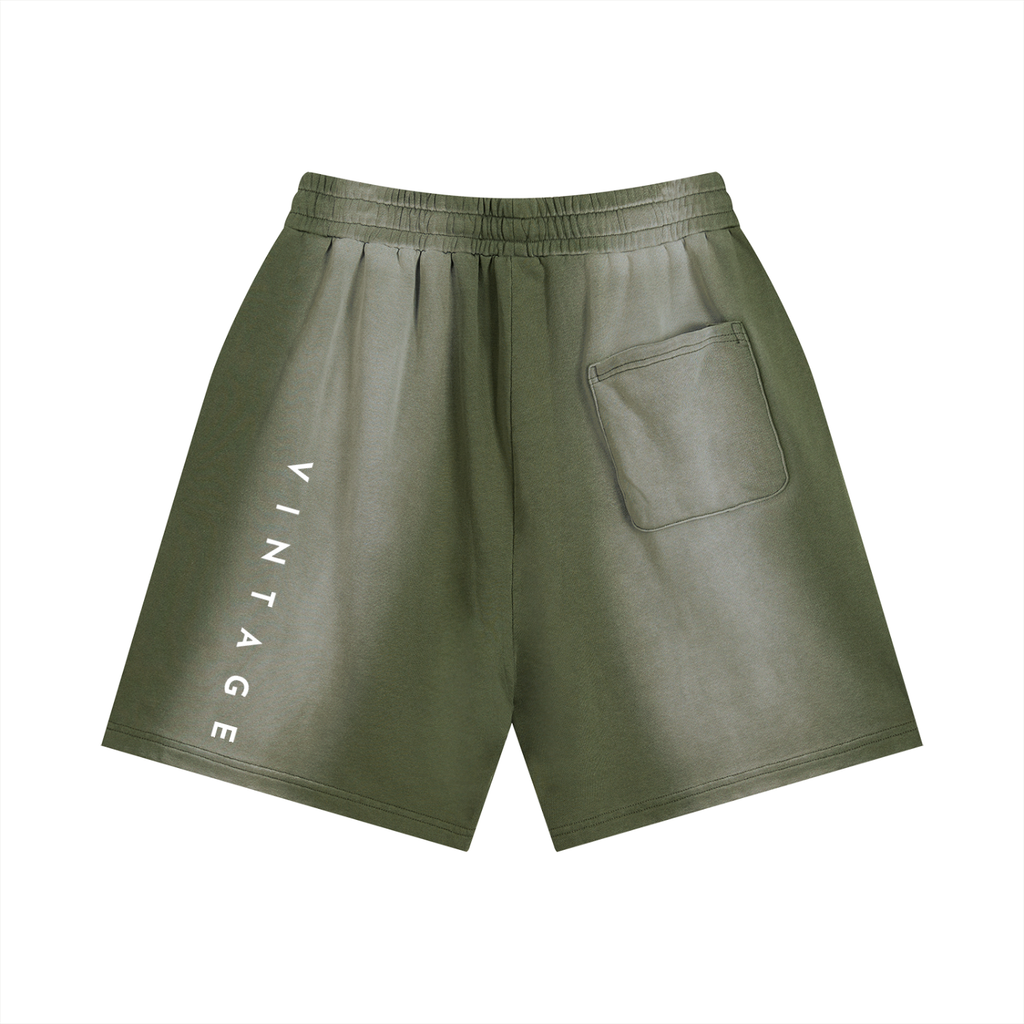 Sun Fade Distressed Shorts